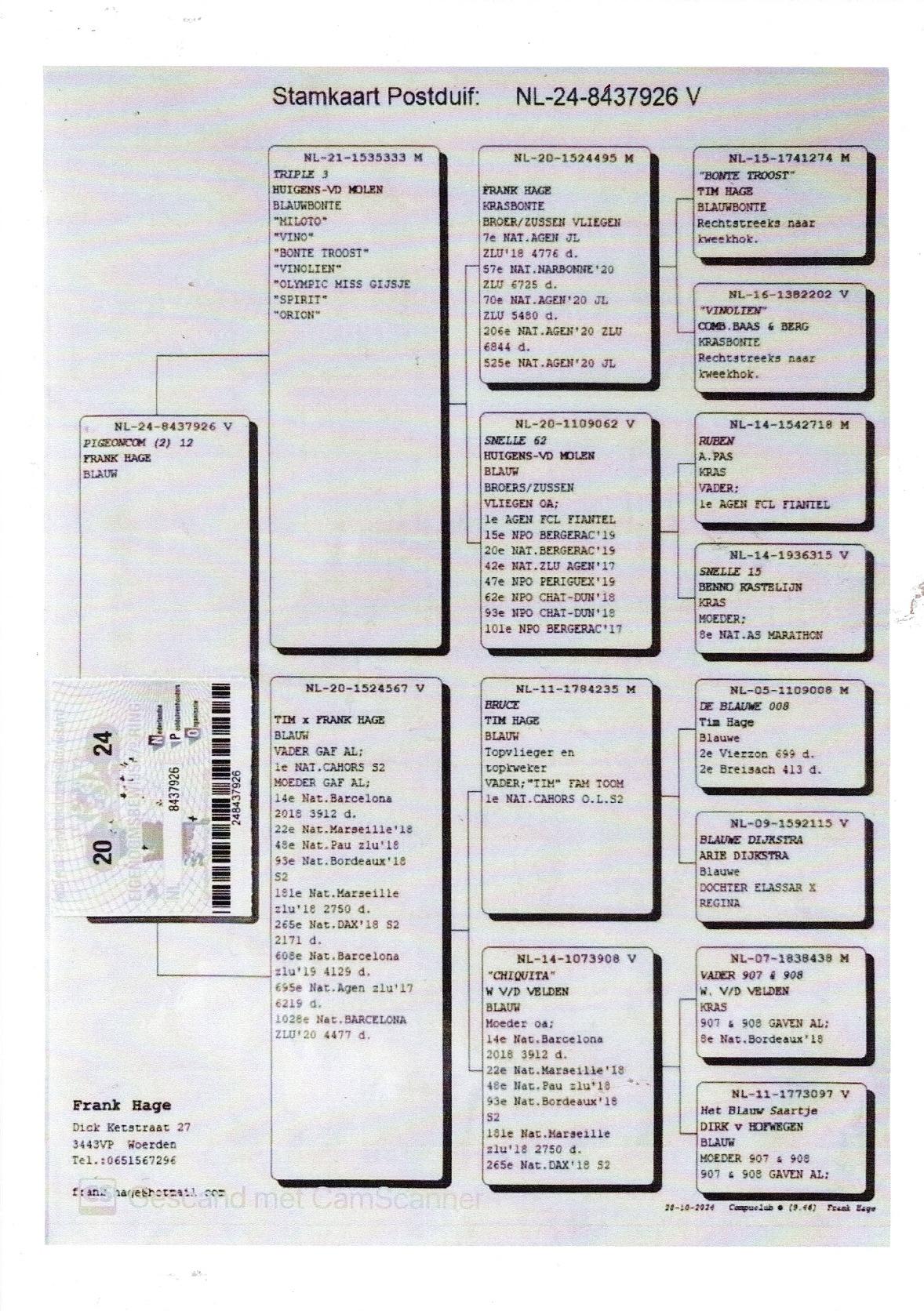 Pedigree van Robben Jolien Beerse Jonge duif 2026 ter plaatse