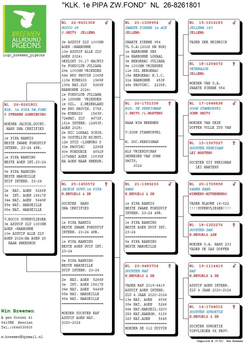 pedigree Kleinkind 1° PIPA Zware Fond 