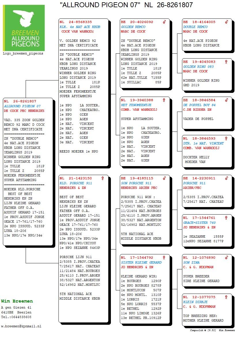 pedigree Allround Pigeon 07