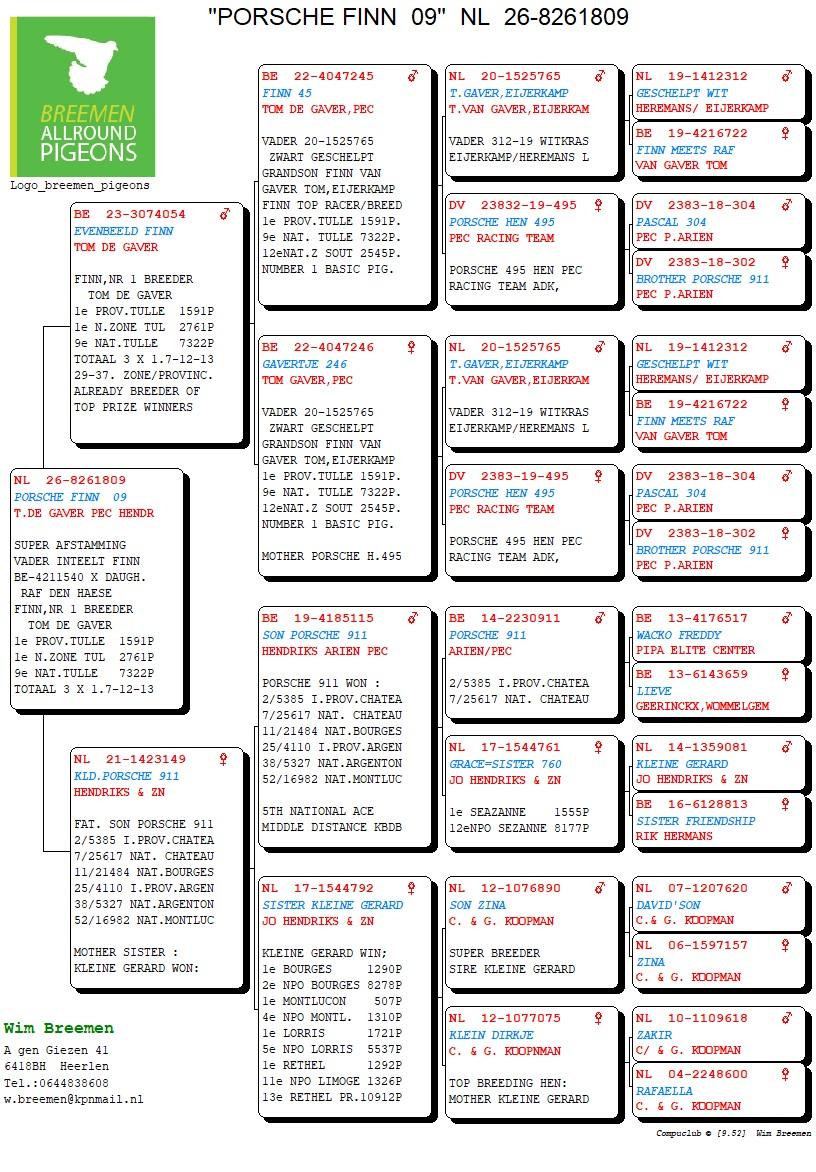 pedigree Porsche Finn 09