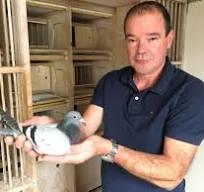 VERSAVEL MARC - WIJTSCHATE - JONGE DUIF OP AFSPRAAK