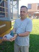 DEMONIE GUIDO -  LANGEMARK - JONGE DUIF OP AFSPRAAK