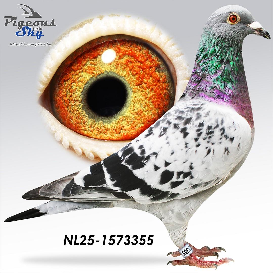 Dirk x dochter The Sens