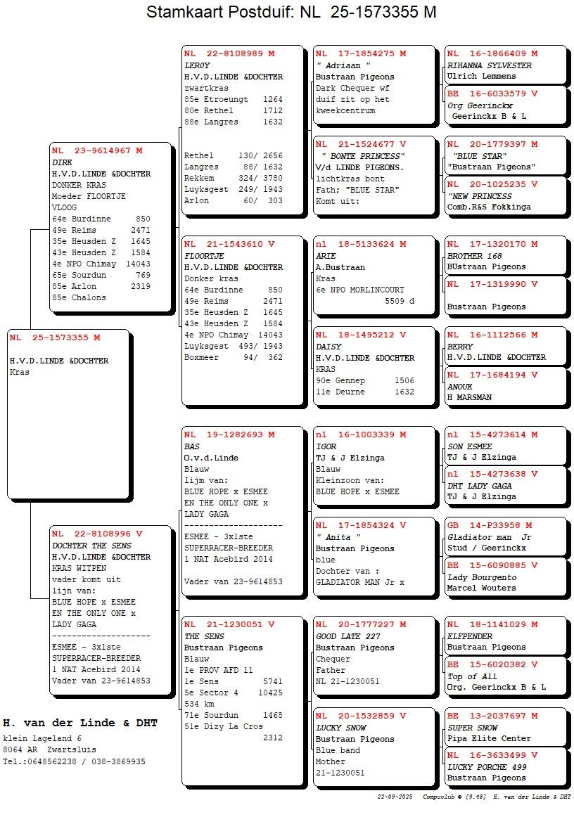 pedigree Dirk x dochter The Sens
