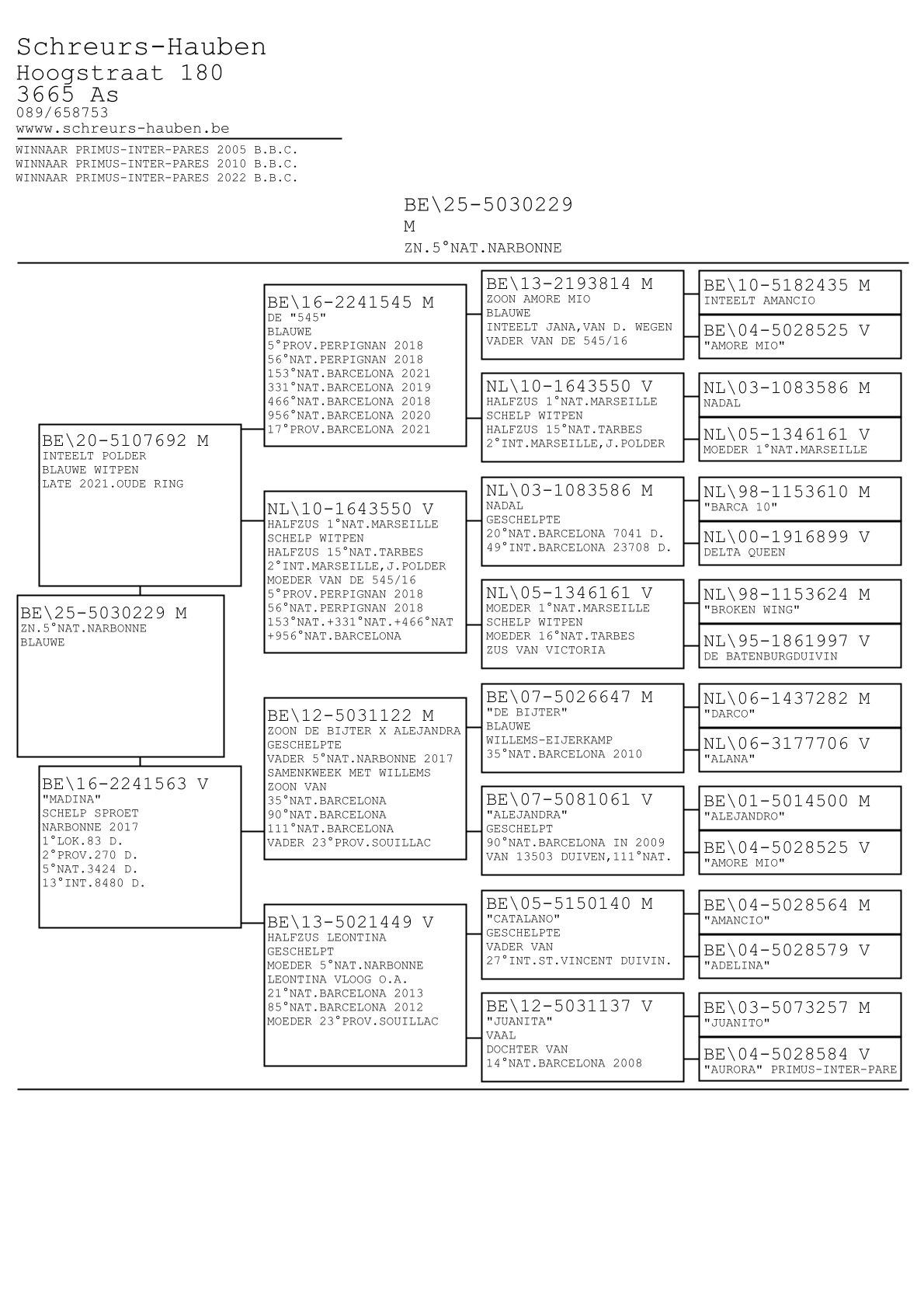 pedigree Zoon 5° Nat Narbonne