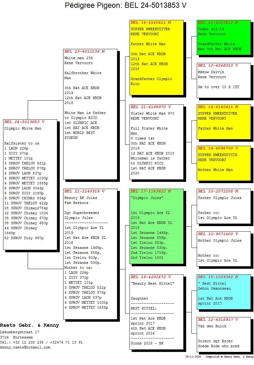 pedigree Olympic White Man (Lijn Olympic Rico : 1e Olympiadeduif Cat F)