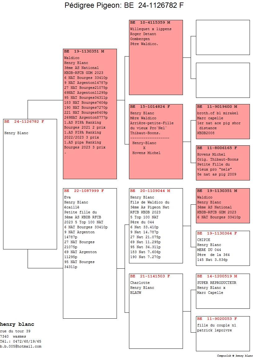 pedigree De 782 / Dochter Waldico, 3e Nat.Asduif GHF KBDB '23