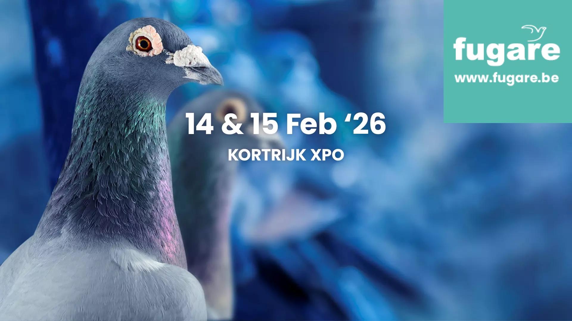 26fugare_website_background_1920x1080_eng kopie