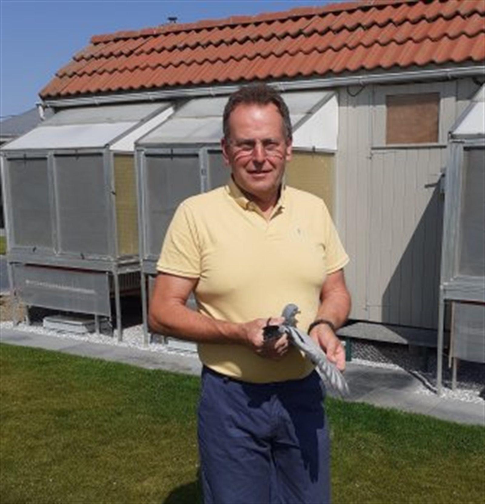 DUBRUL DOMINIQUE - Hulste