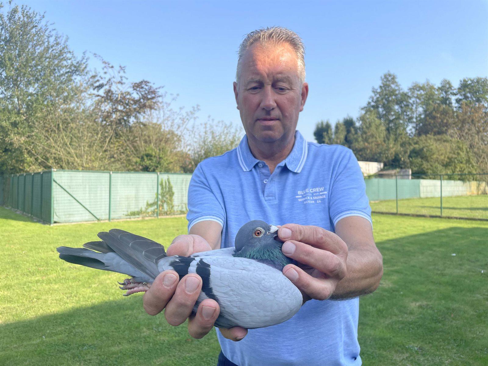 CLICQUE GINO - Wevelgem