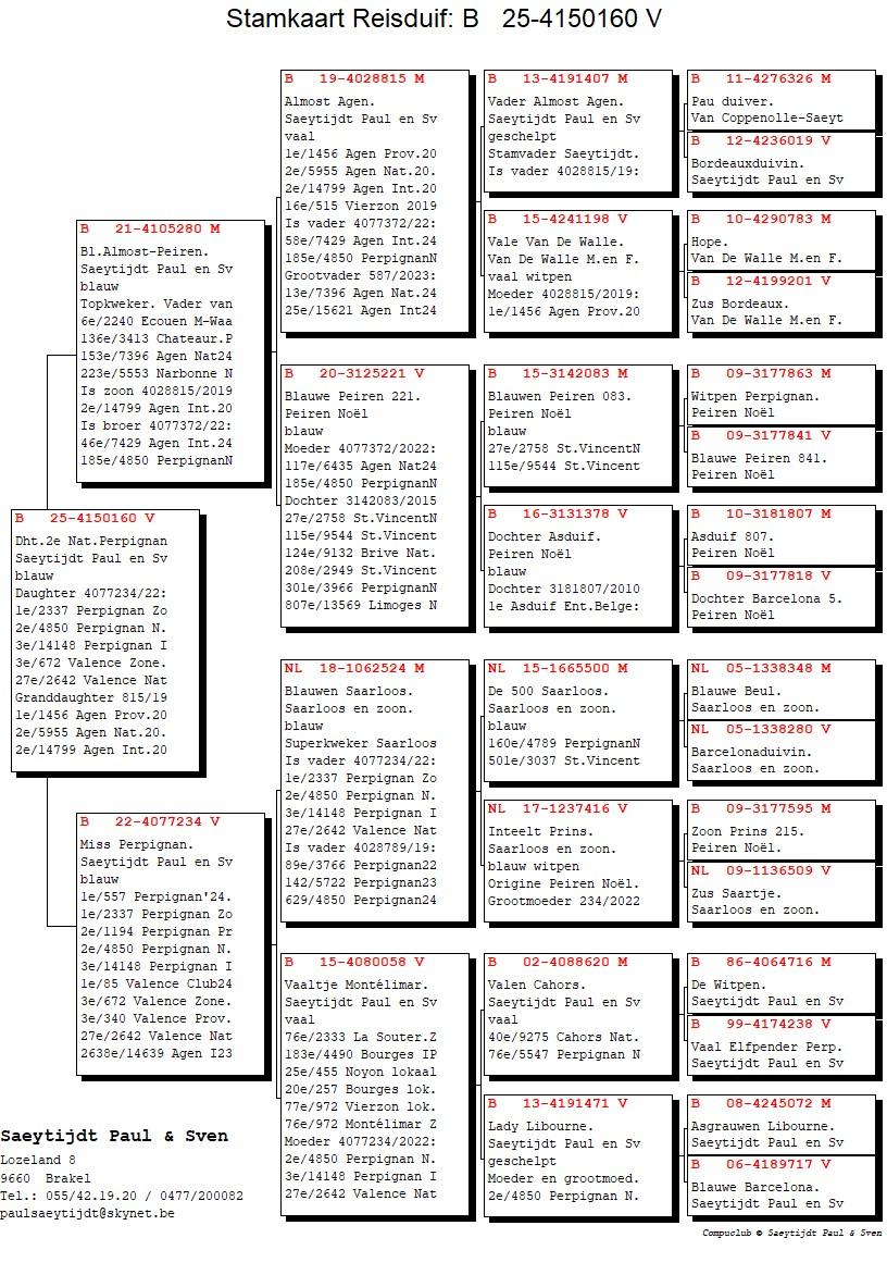 pedigree Dochter 3° Internationaal Perpignan 2024 (75% origine Peiren Noël Zedelgem)