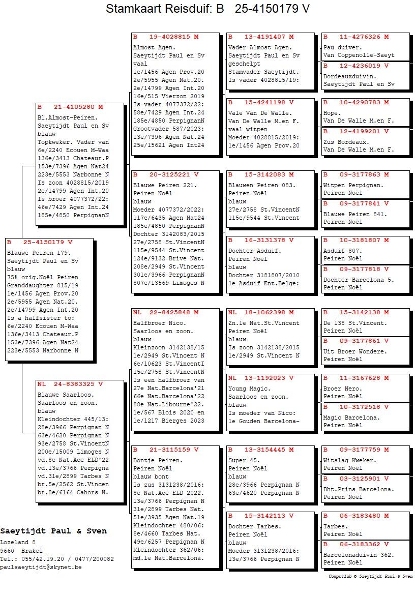 pedigree Blauwe Peiren 179 (75% origine Peiren Noël Zedelgem)