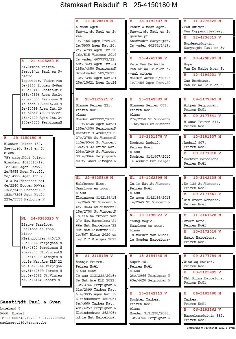 pedigree Blauwen Peiren 180 (75% origine Peiren Noël Zedelgem)
