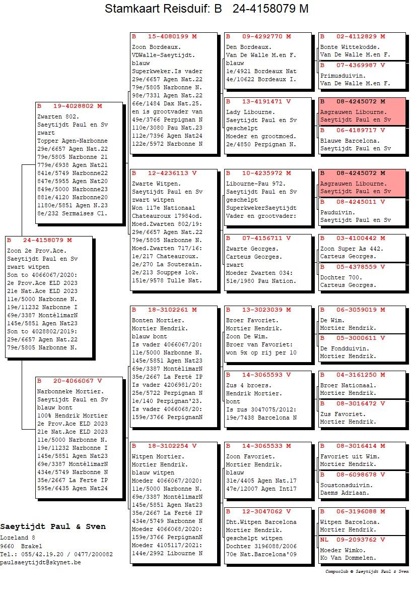 pedigree Zoon 2° provinciale Asduif Zw-Fond 2023
