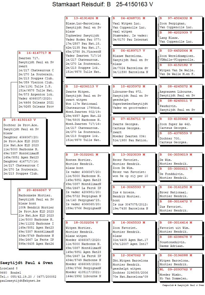 pedigree Dochter 2° Ace Provinciaal ELD 2023
