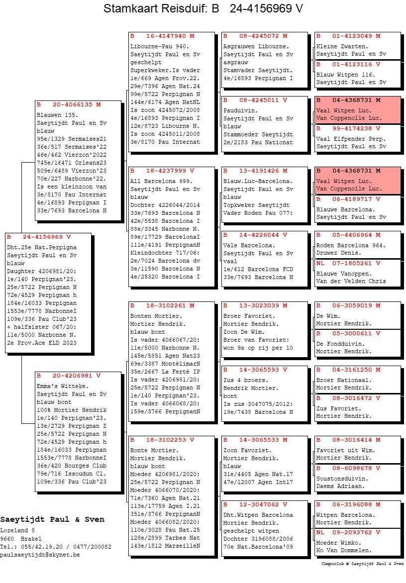 pedigree Dochter Emma’s Witteke 969