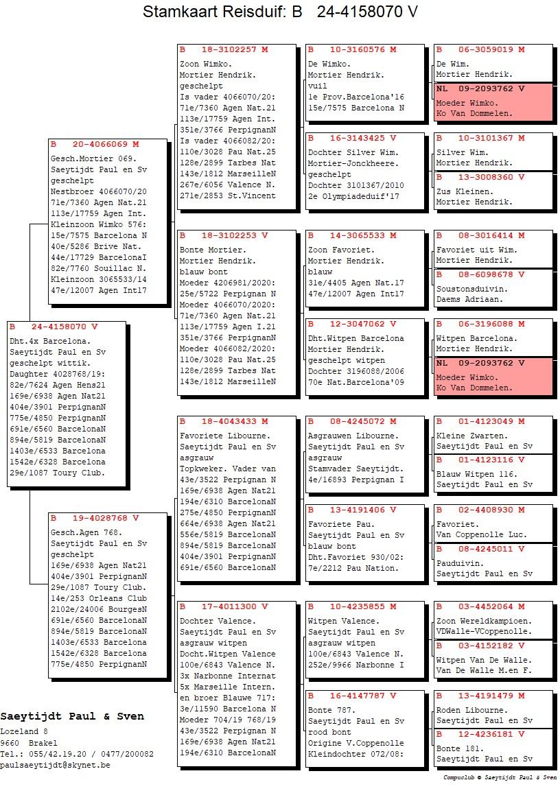 pedigree Dochter 4x Barcelona