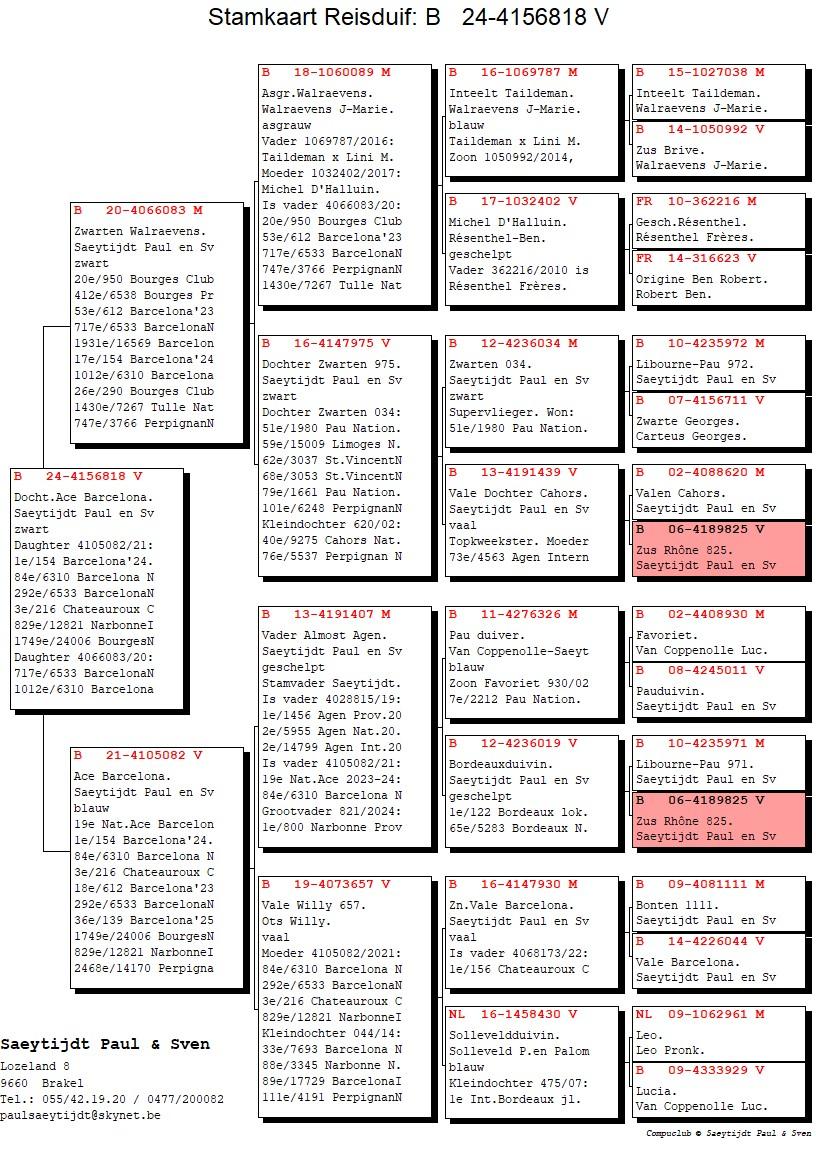 pedigree Zwarte Dochter Ace Barcelona