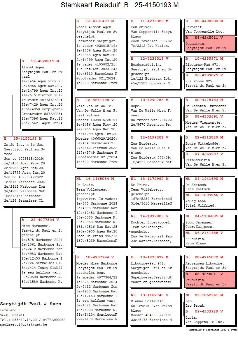 pedigree Zn 2° Internationaal Agen 2020 x 3° Nationaal Narbonne 2024