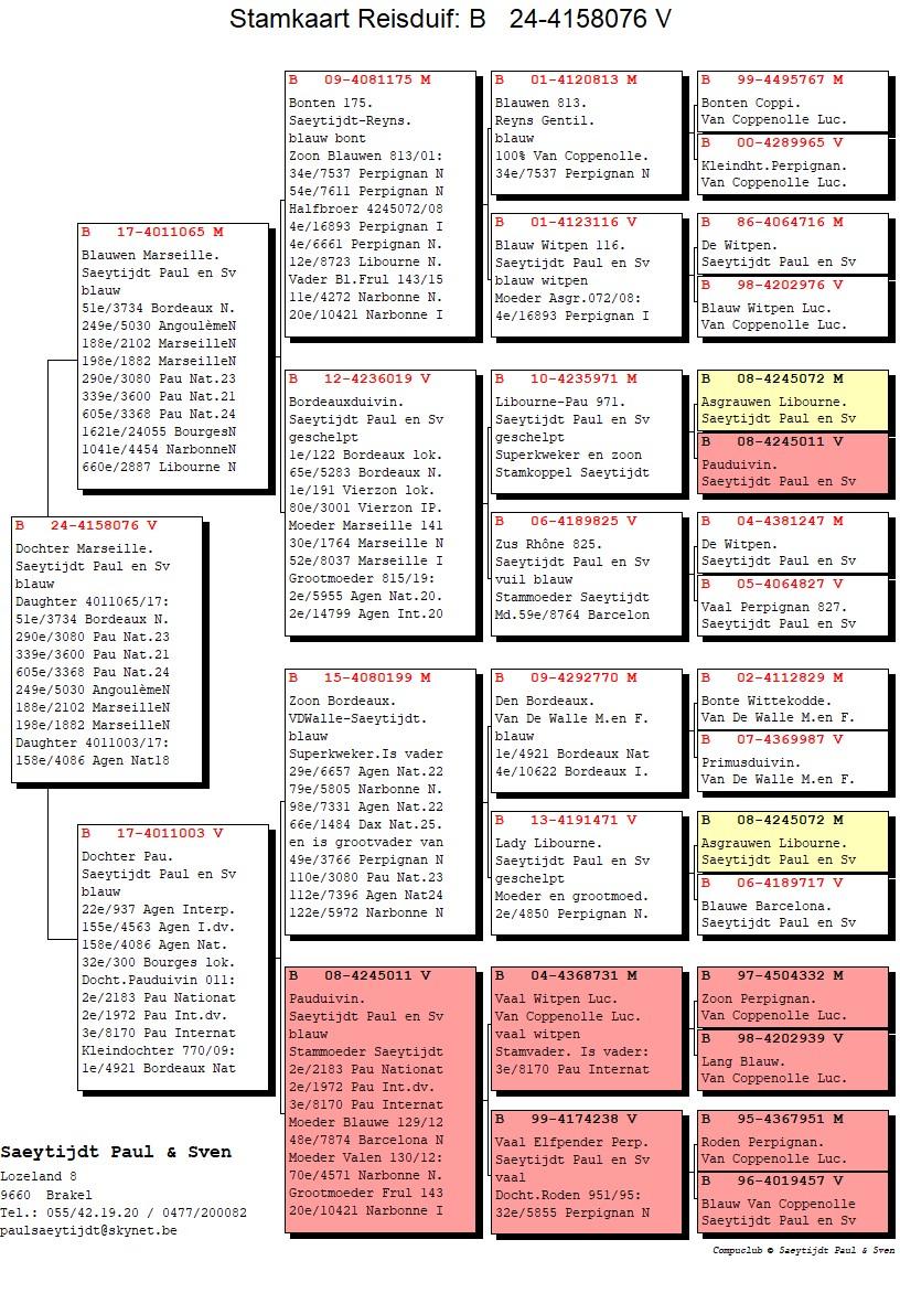 pedigree Dochter Marseille