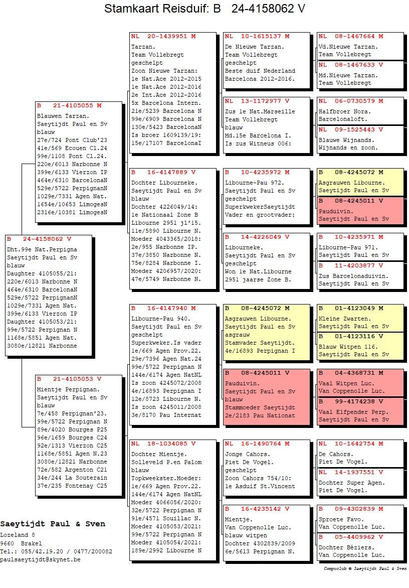 pedigree Dochter Mientje Perpignan