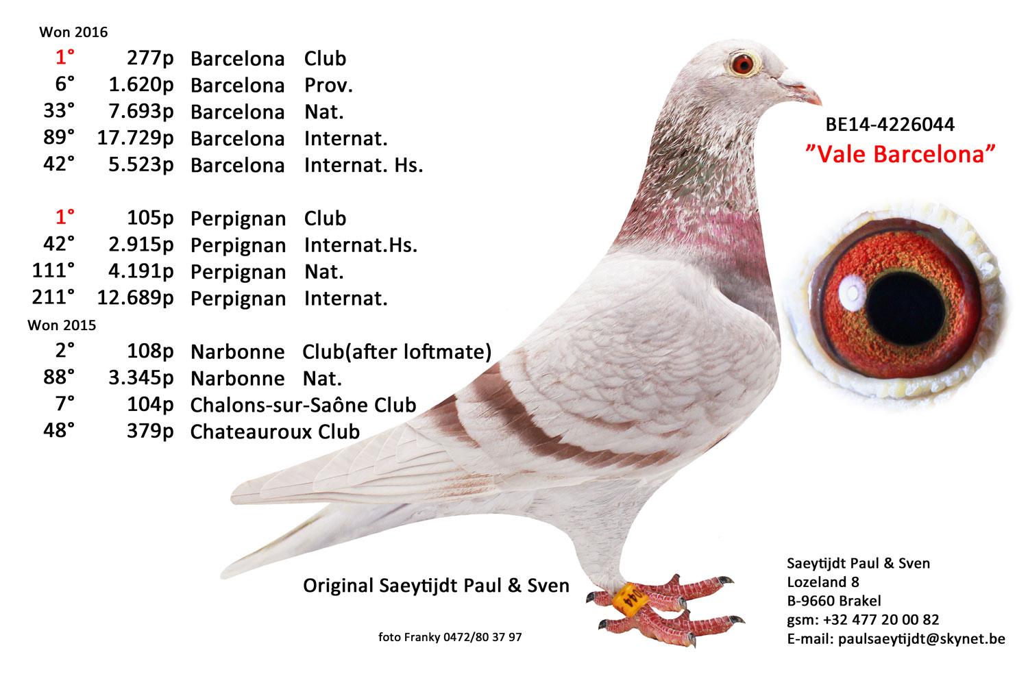 Zwarte Dochter Ace Barcelona - Familie