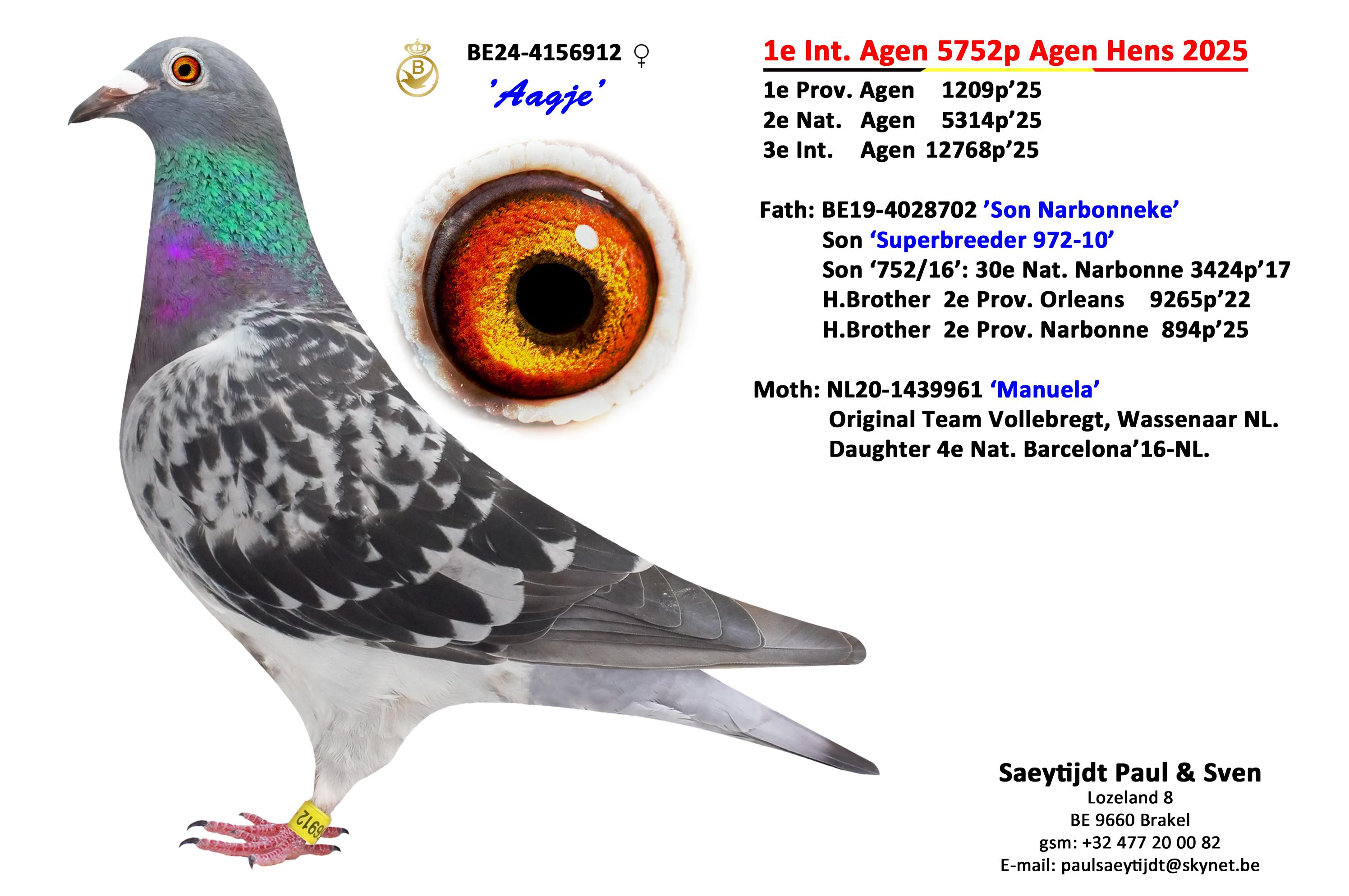 Zoon 1° Internationaal Hens Agen 2025 - Familie