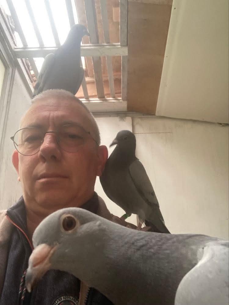 DE RUYVER GEERT - Wichelen