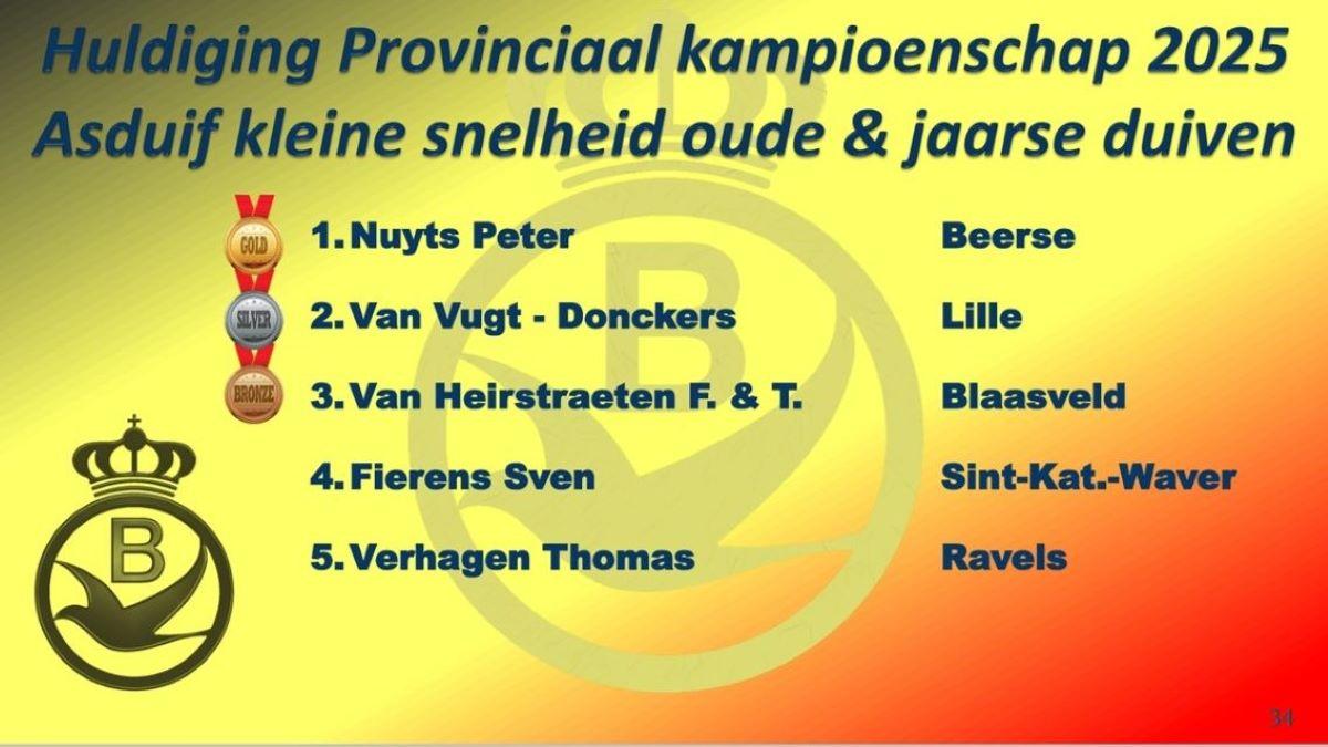 2025 PE ANTWERPEN Provinciale Kampioenenviering-pag-34 (Asduif Kleine Snelheid oude & jaarse)