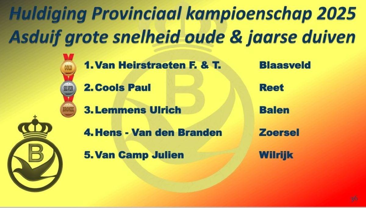 2025 PE ANTWERPEN Provinciale Kampioenenviering-pag-36 (Asduif Grote Snelheid oude & jaarse)