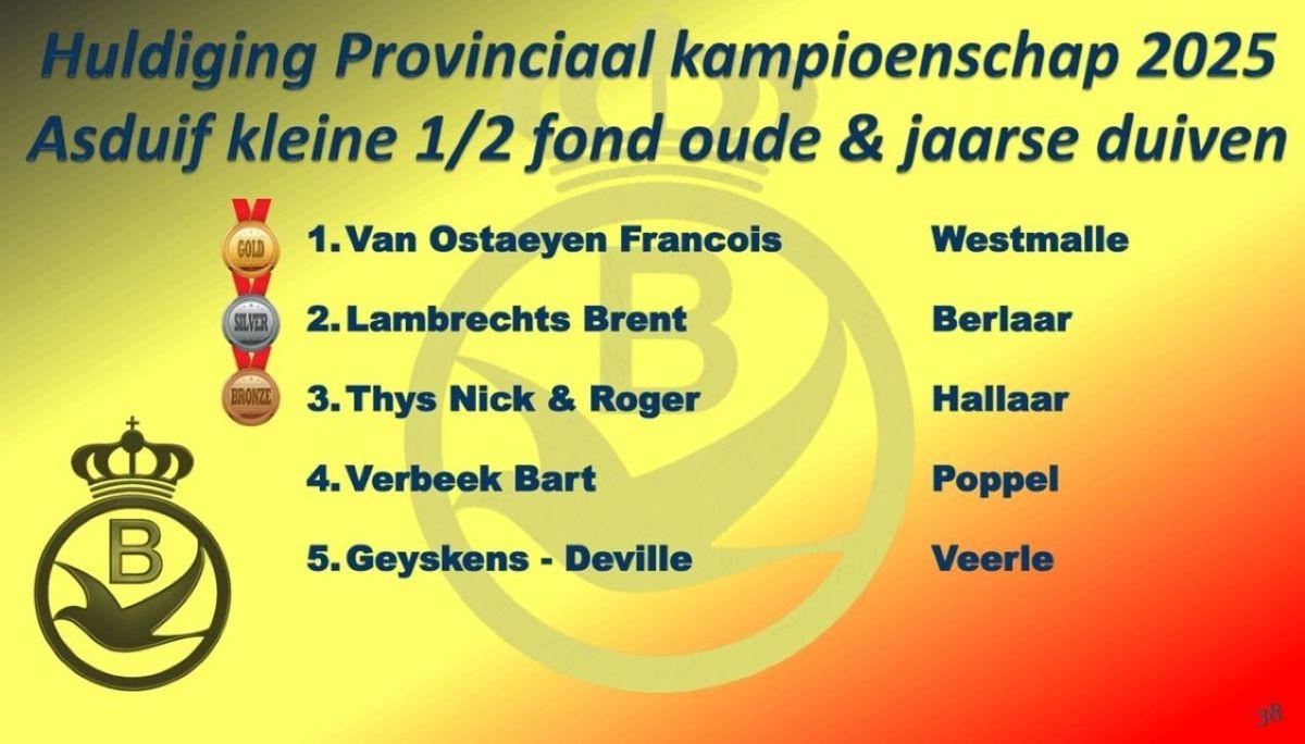 2025 PE ANTWERPEN Provinciale Kampioenenviering-pag-38 (Asduif Kleine Hafo oude & jaarse)