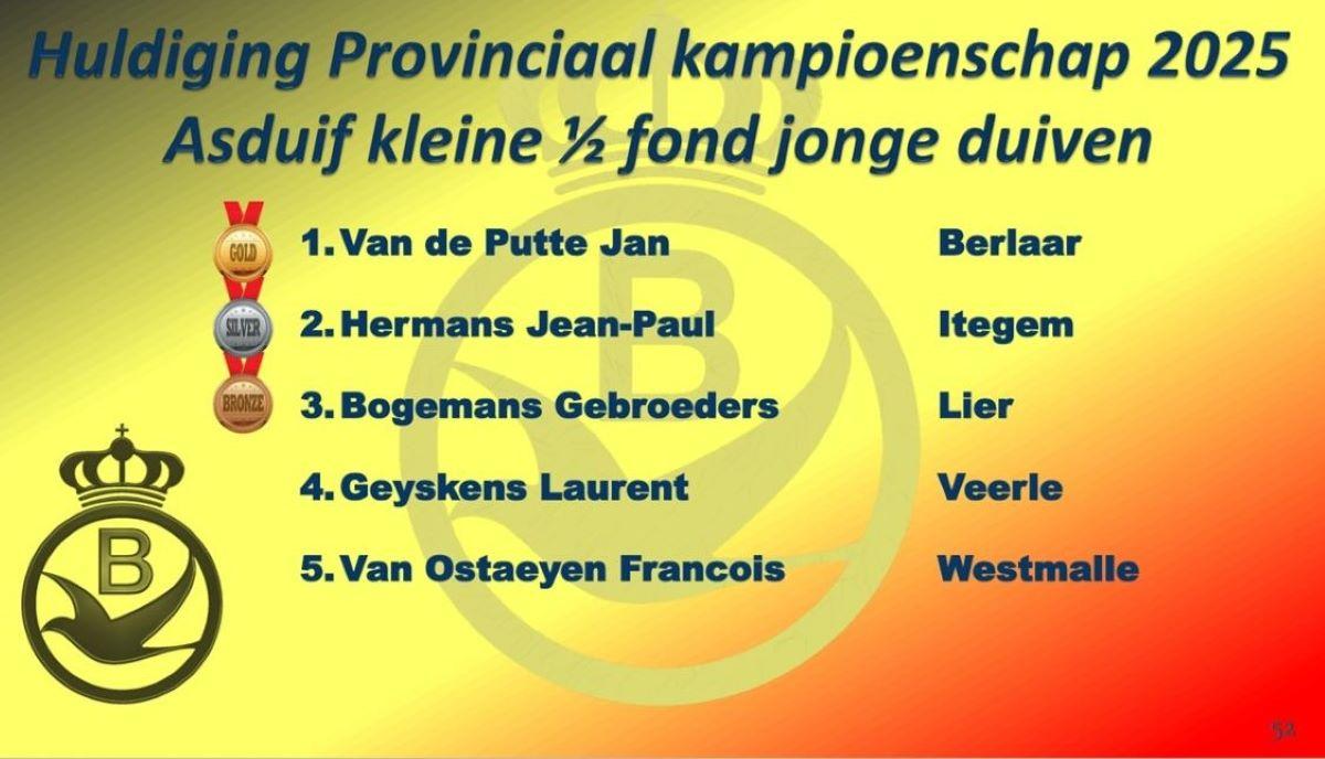 2025 PE ANTWERPEN Provinciale Kampioenenviering-pag-52 (Asduif Kleine Hafo jonge)