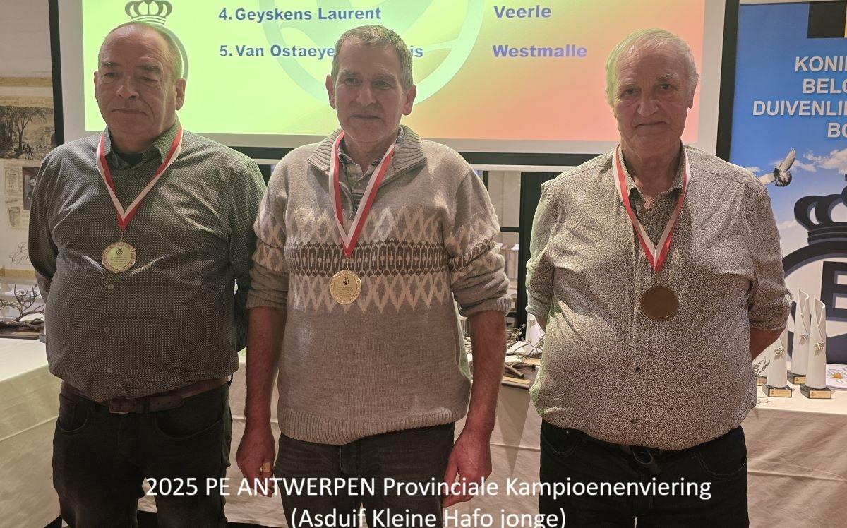 2025 PE ANTWERPEN Provinciale Kampioenenviering-pag-52 (Asduif Kleine Hafo jonge-Foto)