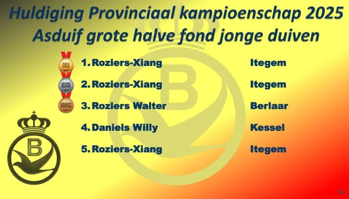 2025 PE ANTWERPEN Provinciale Kampioenenviering-pag-54 (Asduif Grote Hafo jonge)