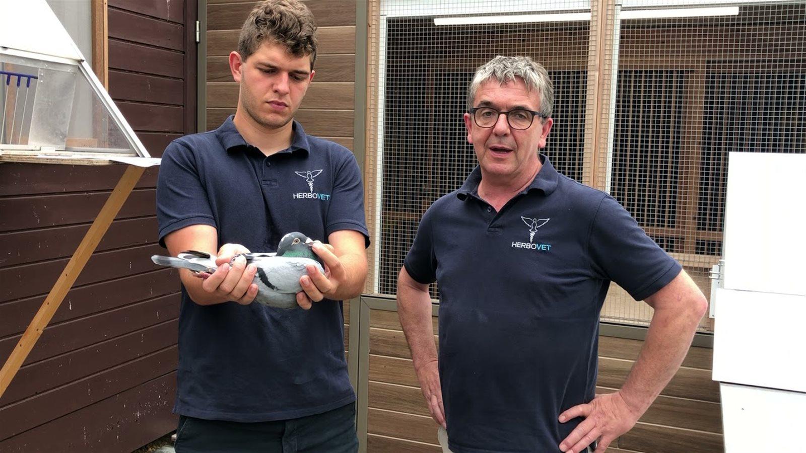 HERBOTS KOBE & KATO -- Velm