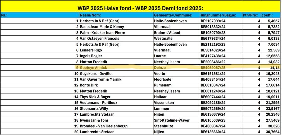 World Best Pigeon 2025 Halve Fond