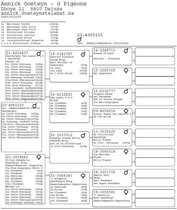 PITTS-GoeteynA-PITTS-BE23-4065103 'Leo' -pedigree