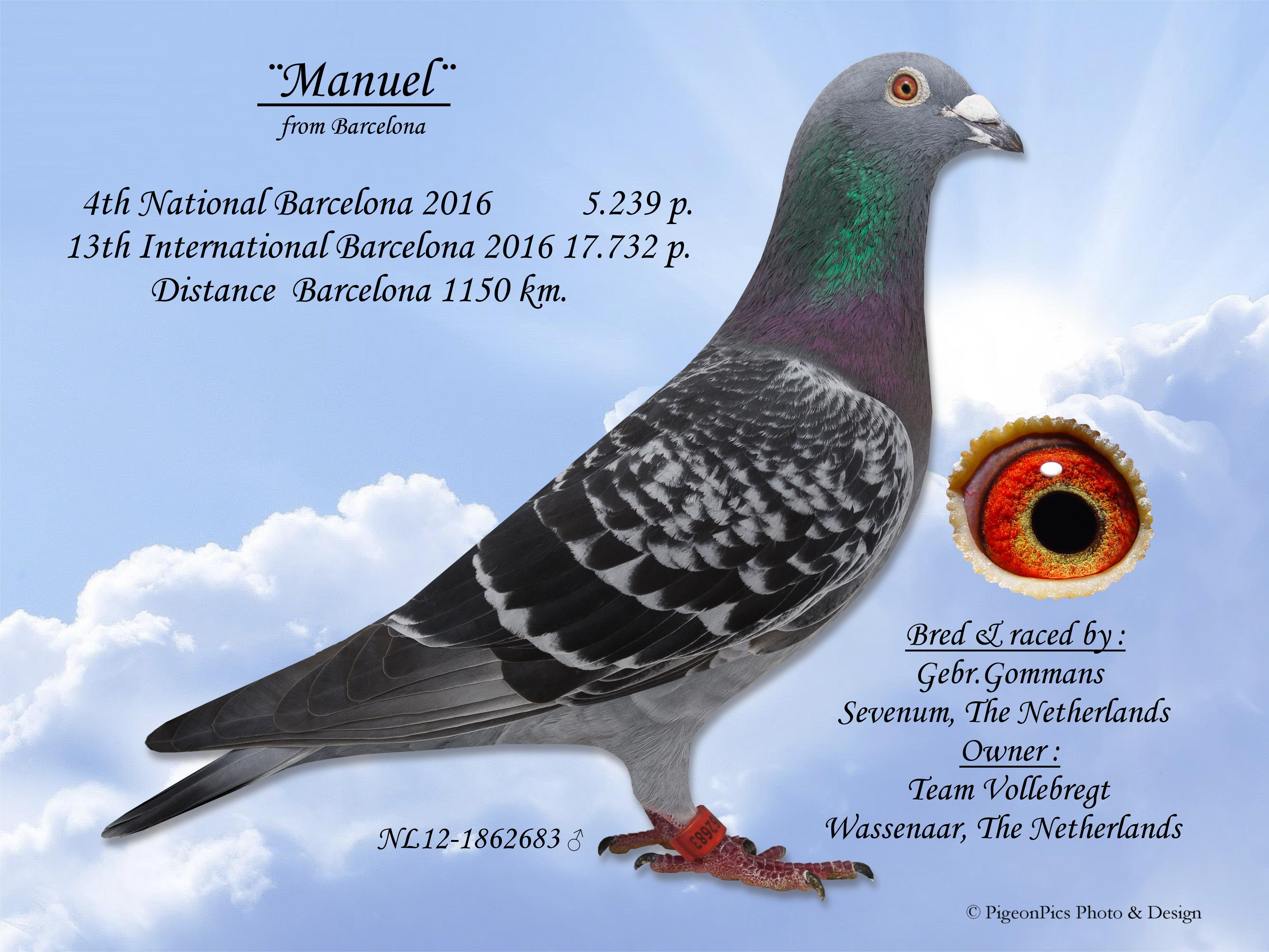 Zoon 1° Internationaal Hens Agen 2025 - Familie