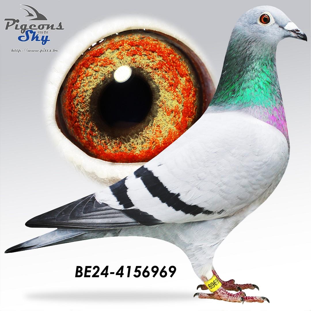 Dochter Emma’s Witteke 969