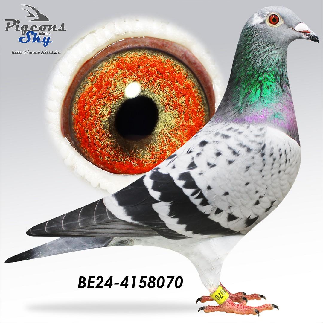 Dochter 4x Barcelona