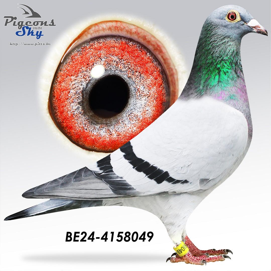 Dochter 22° Nat Barcelona 2020