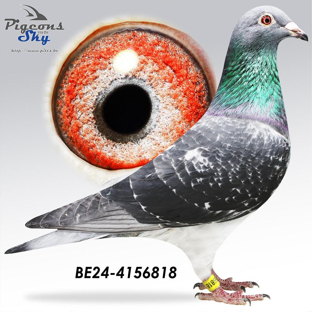 Zwarte Dochter Ace Barcelona