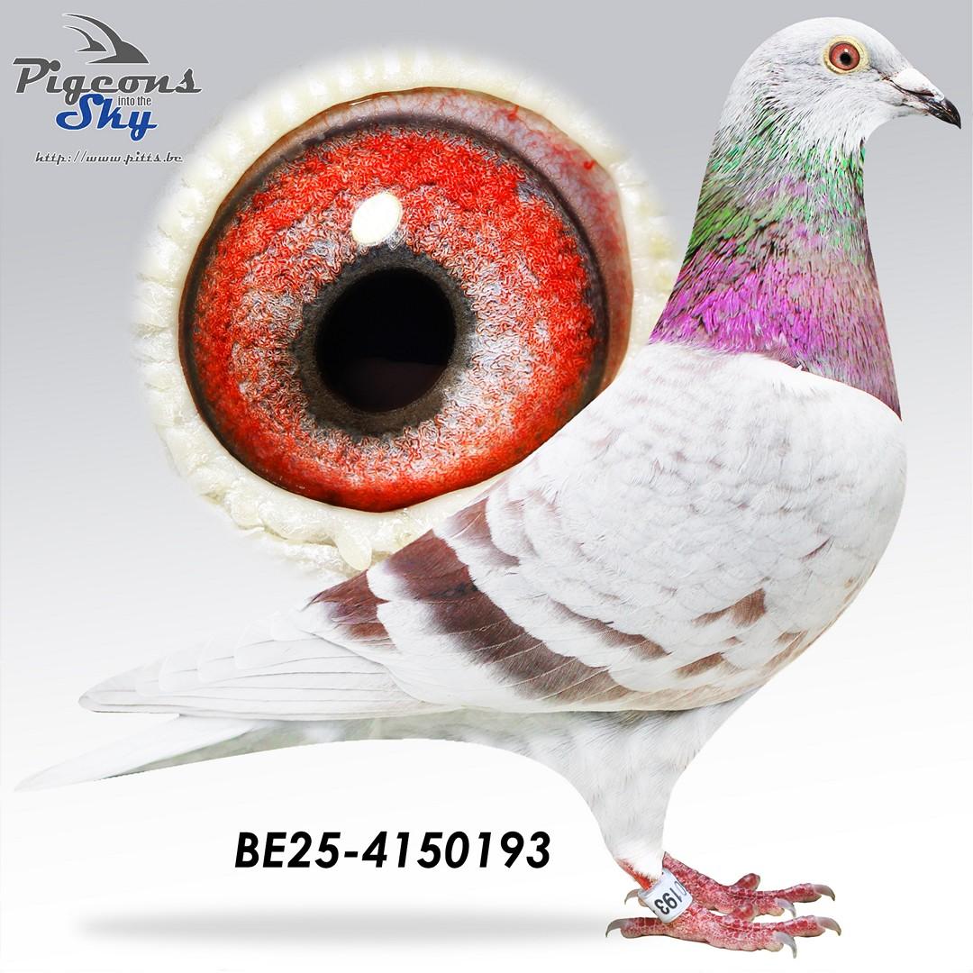 Zn 2° Internationaal Agen 2020 x 3° Nationaal Narbonne 2024