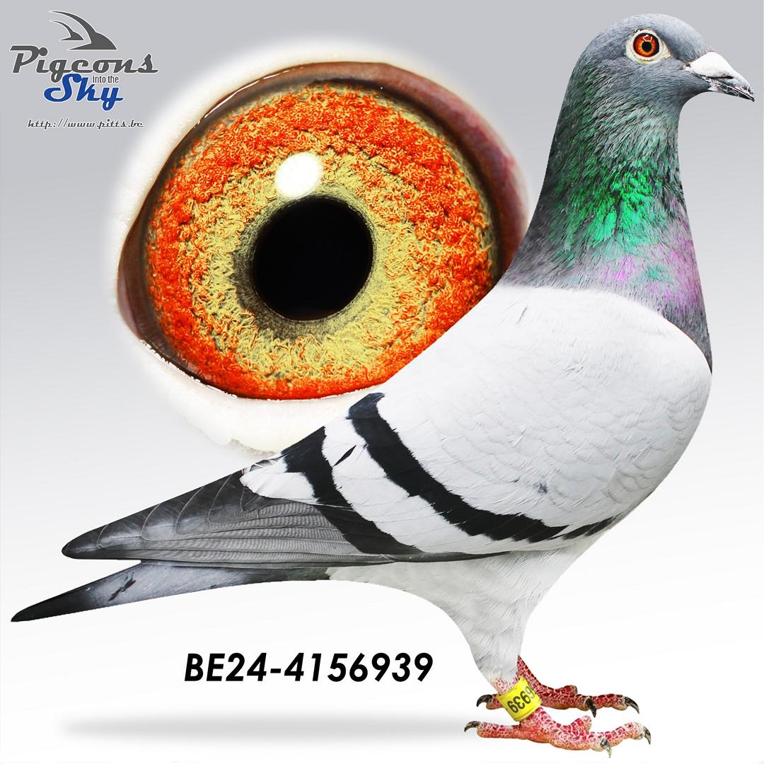 Broer 1° Provinciaal Agen 2022