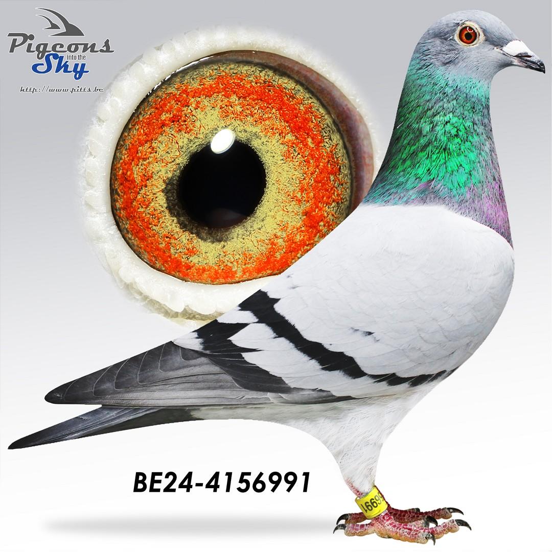 Zus 1° Provinciaal Agen 2022