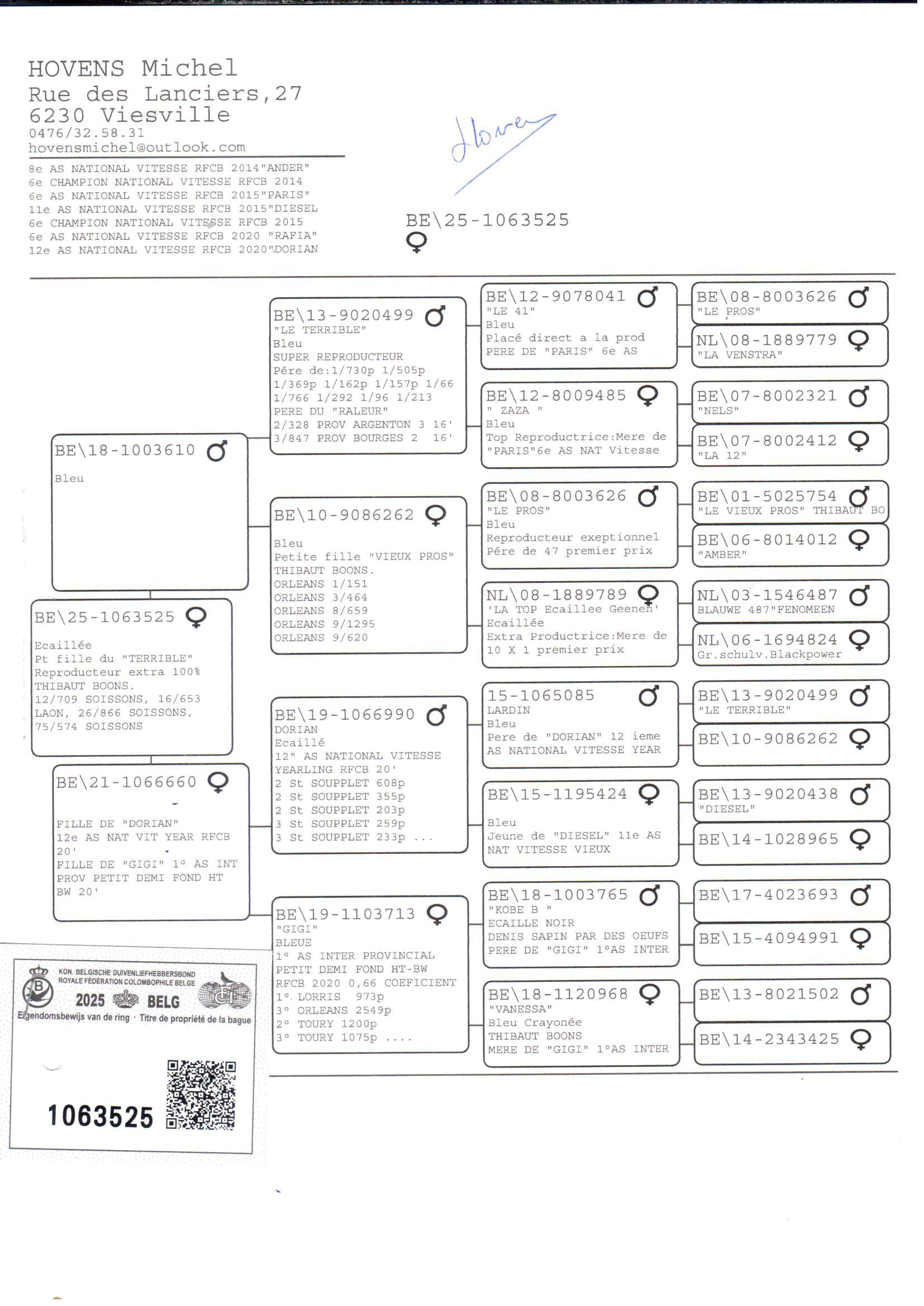 pedigree Zoon kleindochter Vieux Pros x Dochter Dorian 