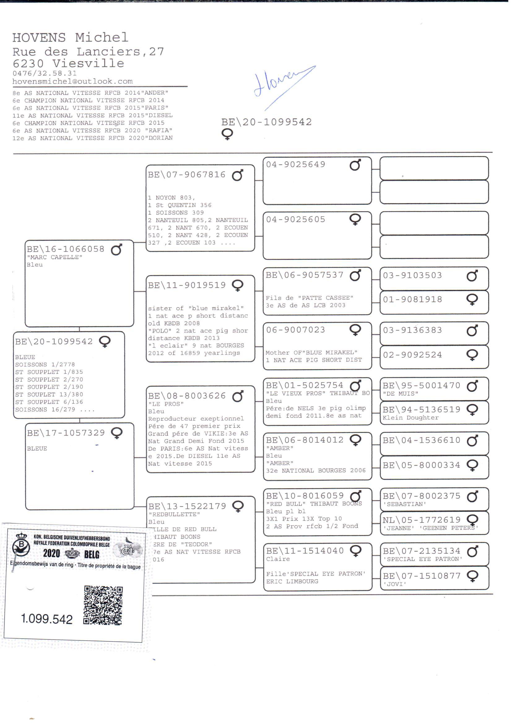pedigree *TOPAANBIEDING* 2x 1ste - 2x 2e!