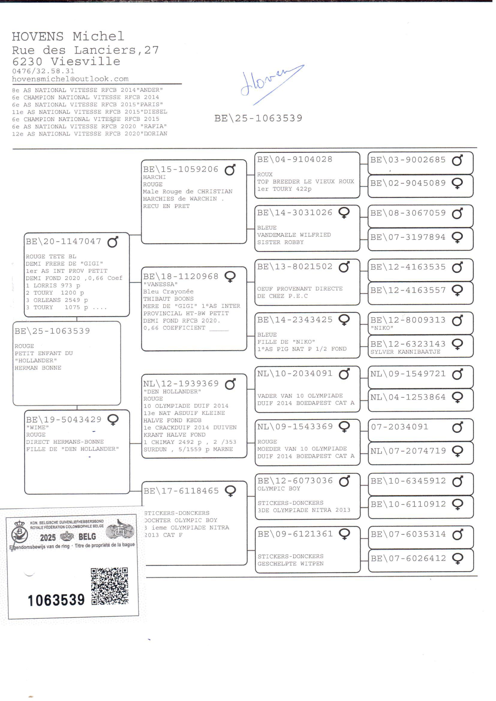 pedigree Halfbroer Gigi x Wime 