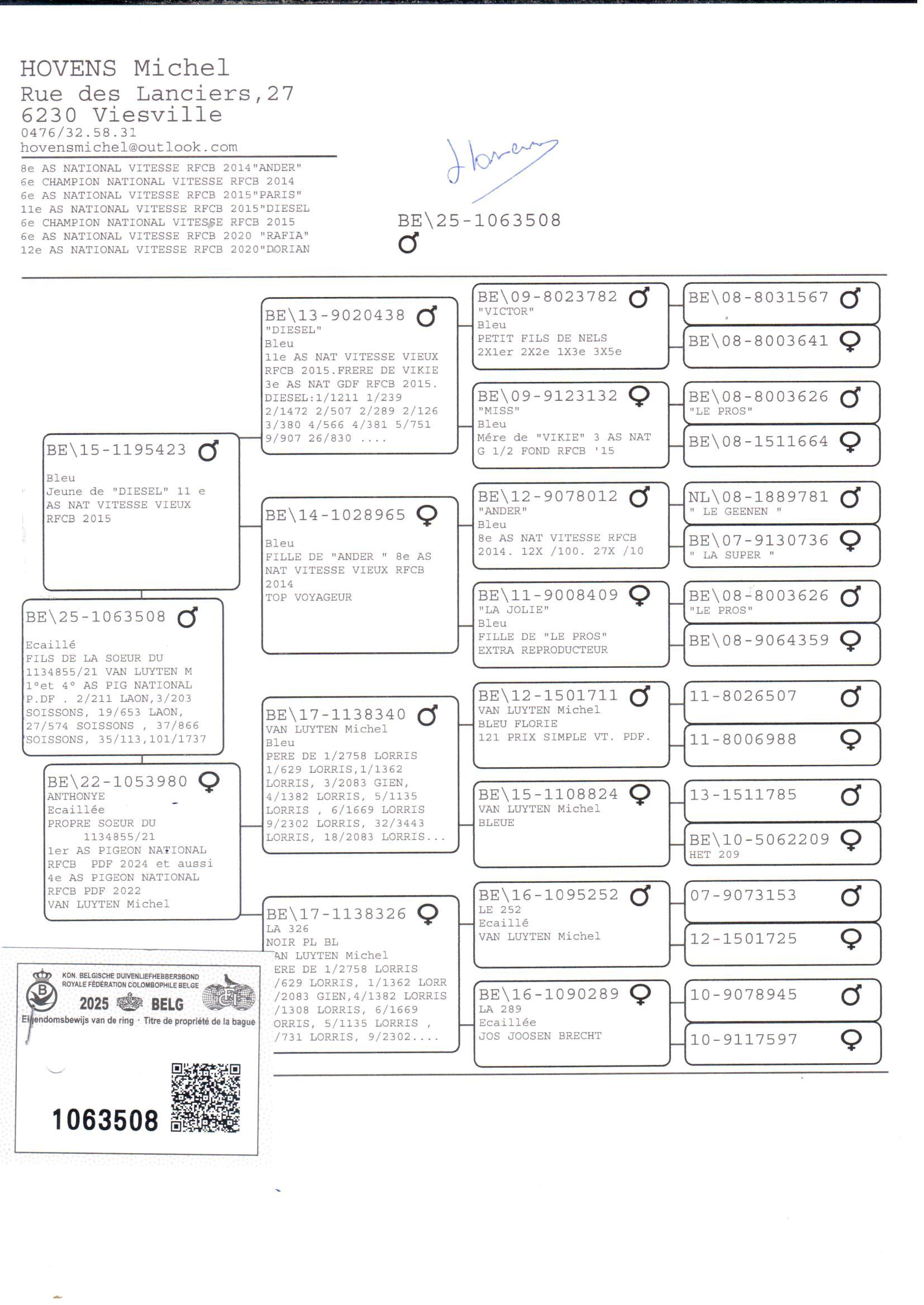 pedigree Zoon Diesel x Anthonye 