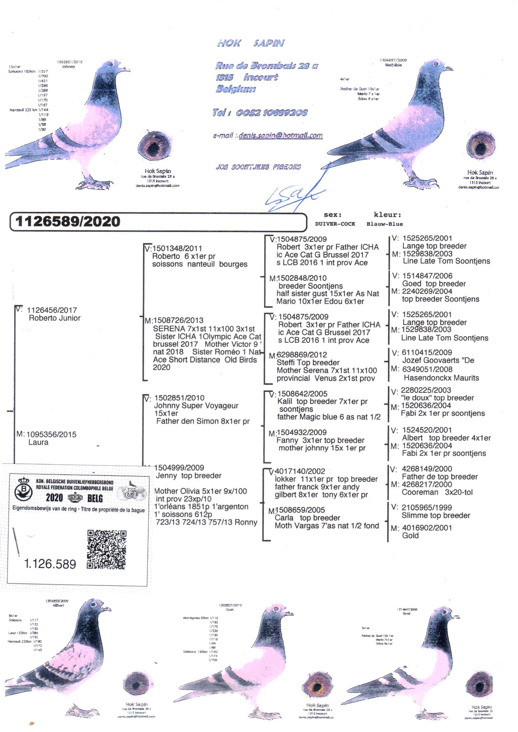 pedigree Roberto Junior x Laura 